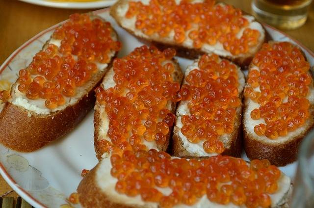 Les différentes variétés d’esturgeons et leur caviar : tout ce que vous devez savoir