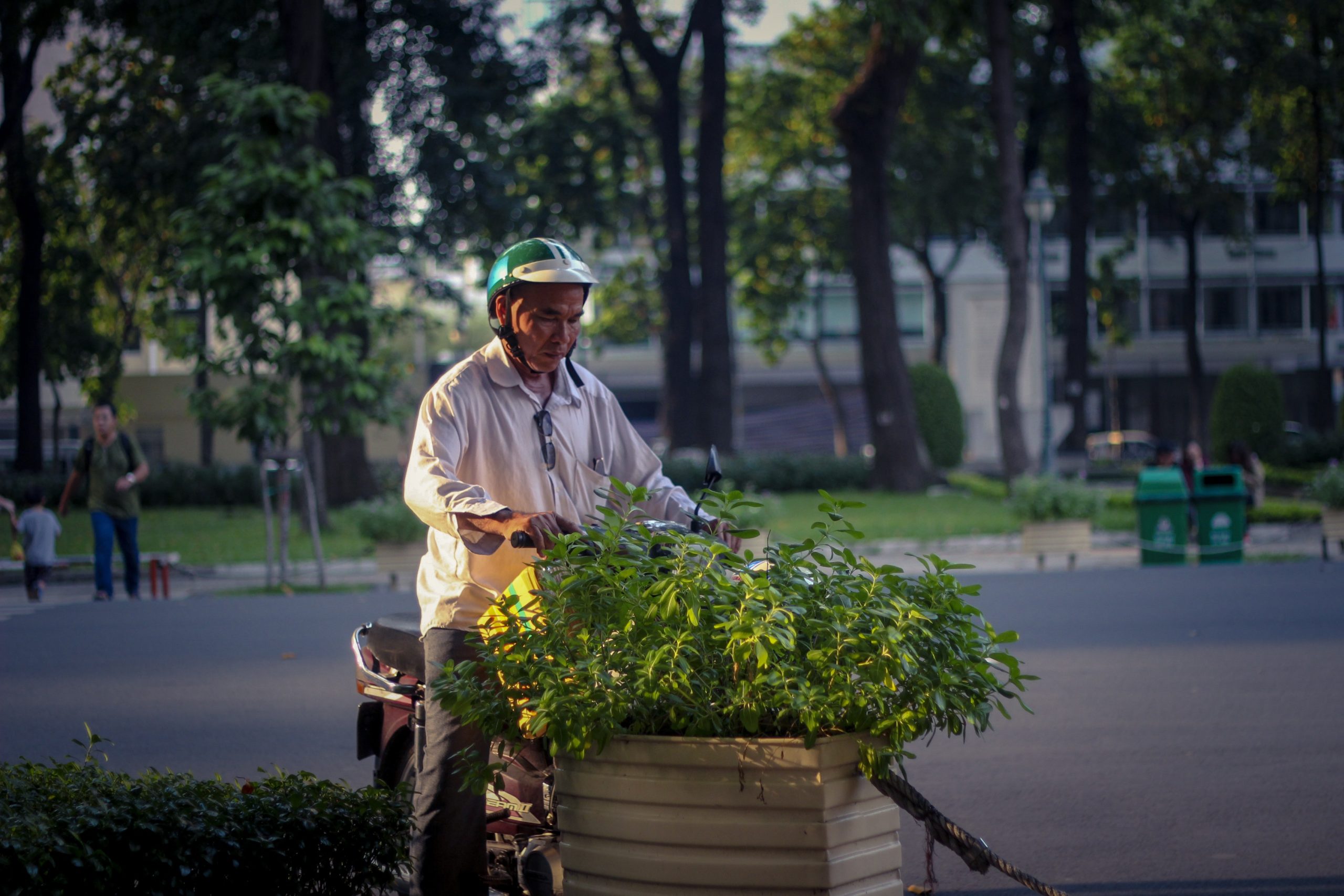 Jardinerie La Tour : Au-delà de la passion, un engagement écologique