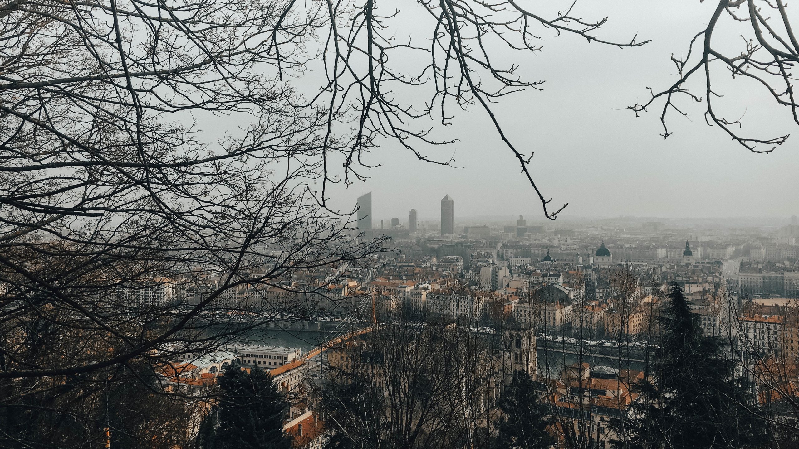 Les Couleurs Éblouissantes de Lyon : À la Rencontre des Peintres Inspirés